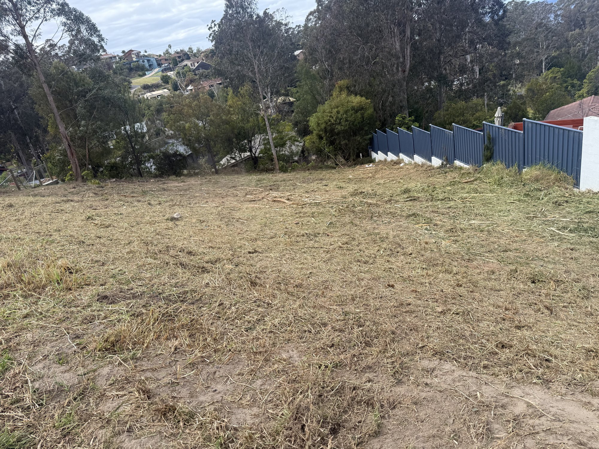 Micks Slashing recent work, Bega Valley